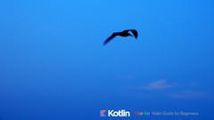  -  One hour Kotlin guide for beginners 