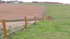  -  Agricultural Fence Design (NRCS Standard 382) 