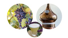  -  Pisco Certificate Course-Become an Expert in Peruvian Pisco 