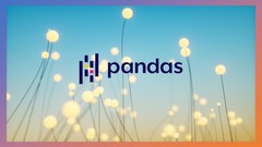  -  Essential Guide to Python Pandas 